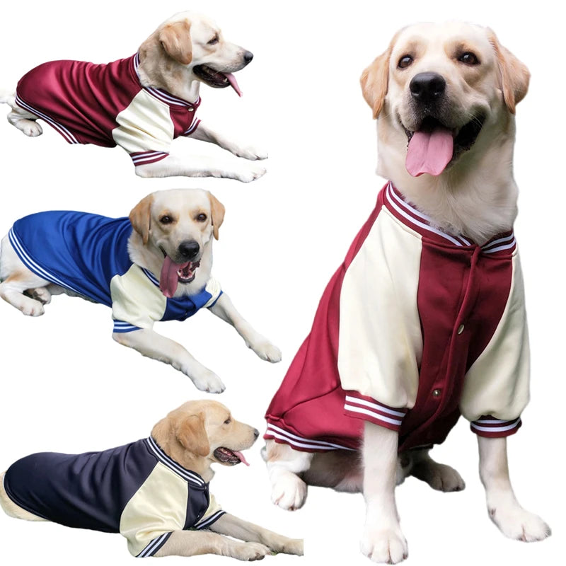 BarkBall Champion Jacket