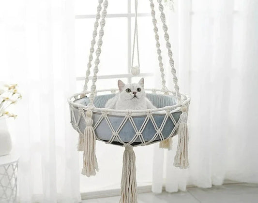 SkyPaw Swing